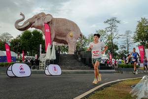 BIB: 
                            <button type="button" onclick="openModal(26528468)" class="btn btn-primary btn-sm float-right btn-popup" data-toggle="modal" data-target=".modal-high-quality">
                        <i class="fas fa-shopping-cart"></i> Add to Cart
                    </button>
                                            <button type="button" onclick="isThisMe(26528468, true)" class="btn btn-success btn-sm float-right btn-popup btn-isme hidden" data-toggle="tooltip" data-placement="bottom" title="นี่คือรูปของคุณใช่ไหม คลิกที่นี่เพื่อเอาเข้าอัลบั้ม">
                        <i class="fas fa-plus"></i> Add to album
                    </button>
                    <button type="button" onclick="isThisMe(26528468, false)" class="btn btn-warning btn-sm float-right btn-popup btn-isnotme hidden">
                        <i class="fas fa-ban"></i> Remove from album
                    </button>